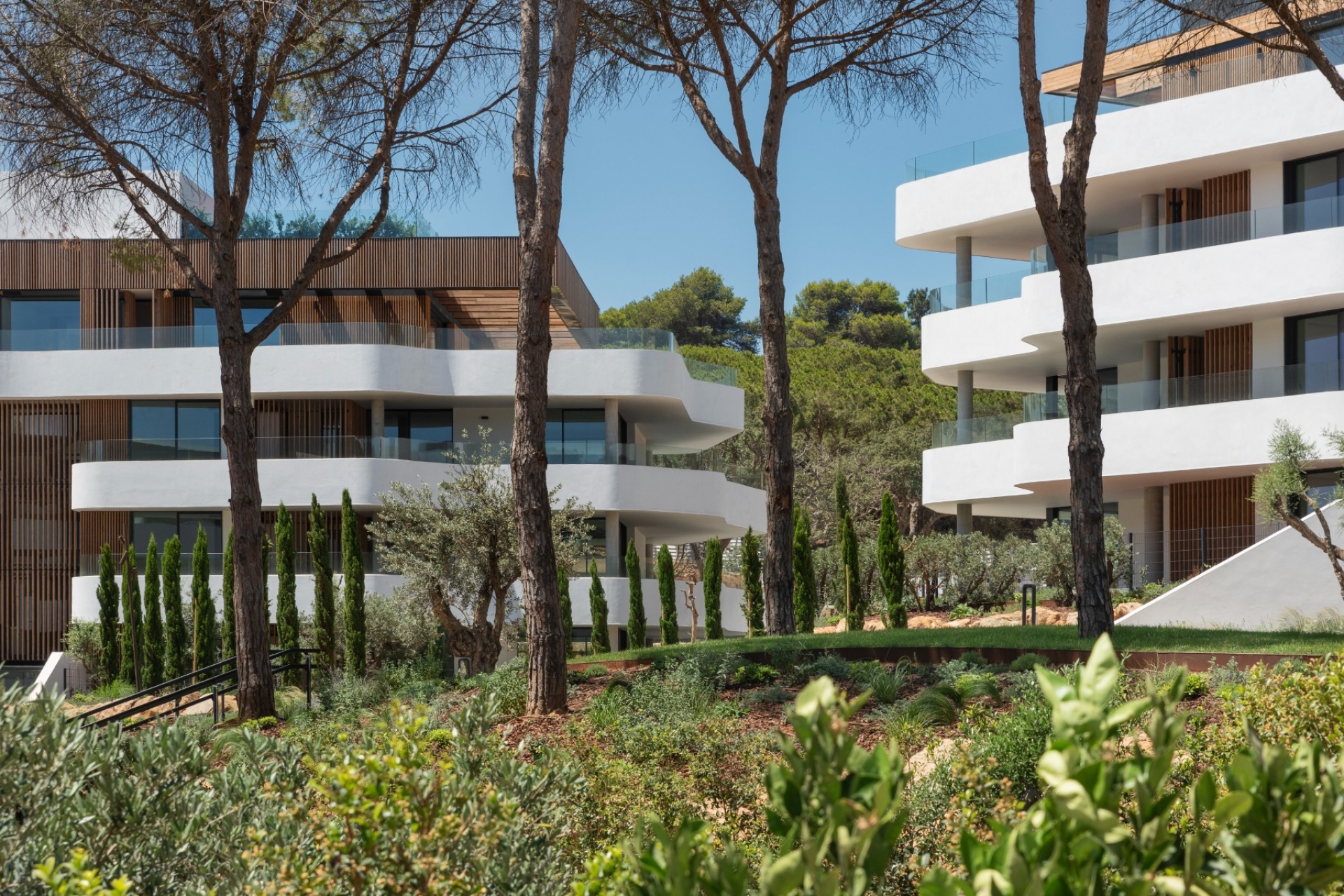 New Build - Apartment - Sotogrande