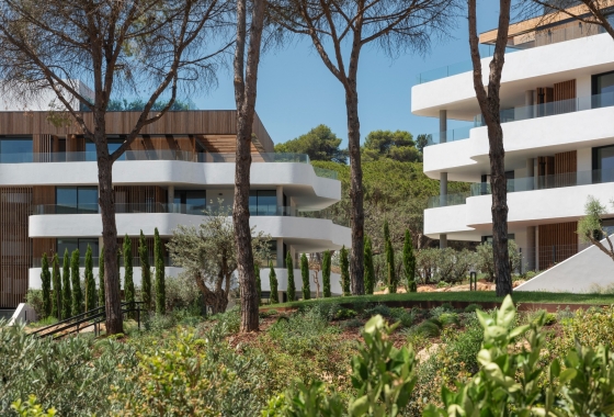 New Build - Apartment - Sotogrande